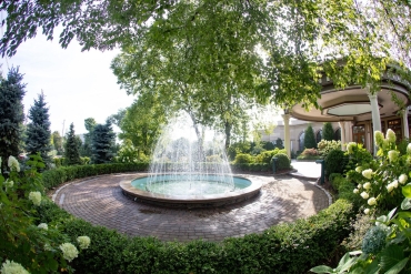 water fountain surrounded with vibrant greenery